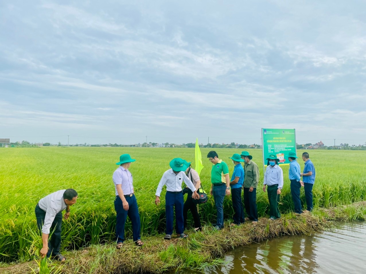 PVFCCo North tổ chức thành công “Hội thảo tổng kết mô hình trình diễn sử dụng phân bón Phú Mỹ trên cây lúa” tại Nam Định.