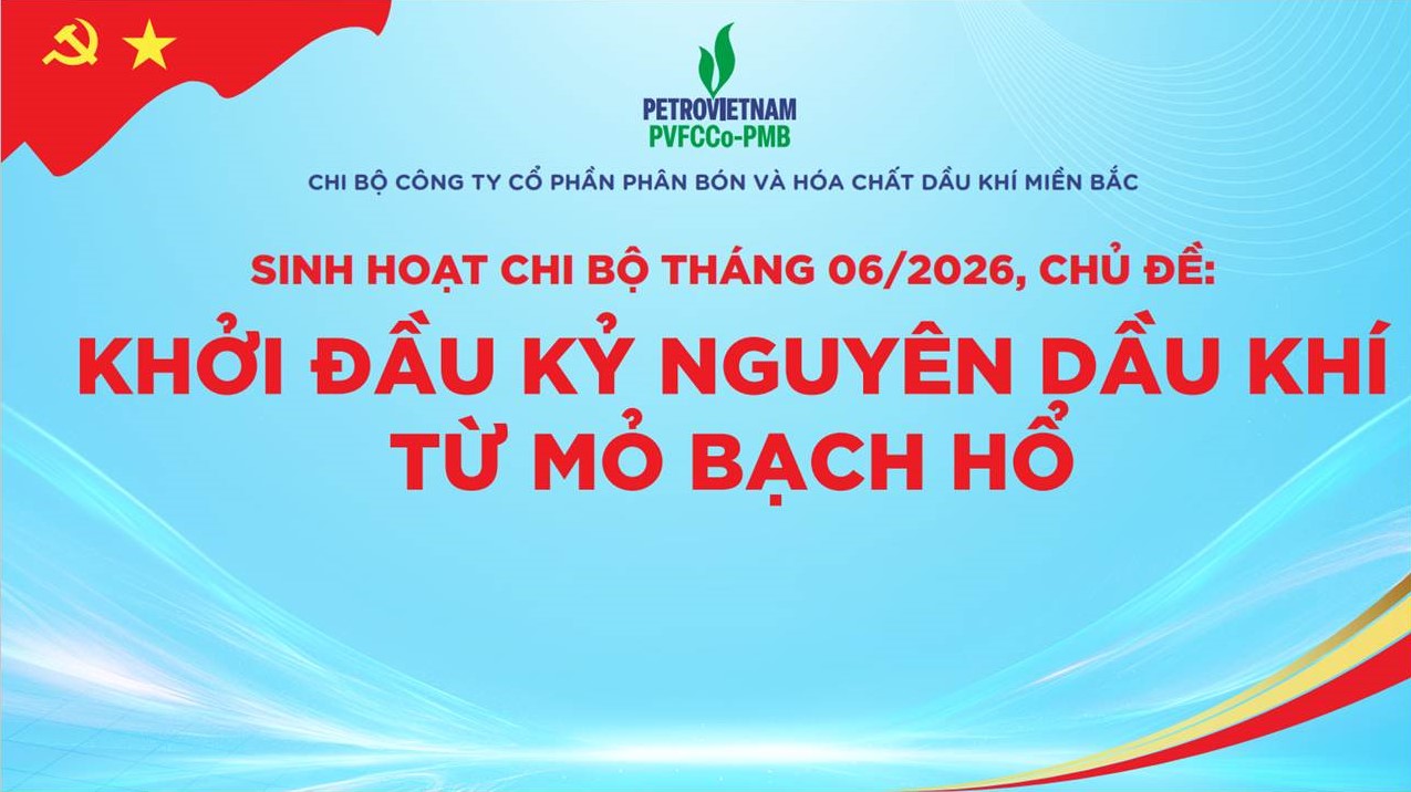 Chi bộ PVFCCo-PMB tổ chức sinh hoạt Chi bộ định kỳ tháng 6 và sinh hoạt chuyên đề quý II năm 2026
