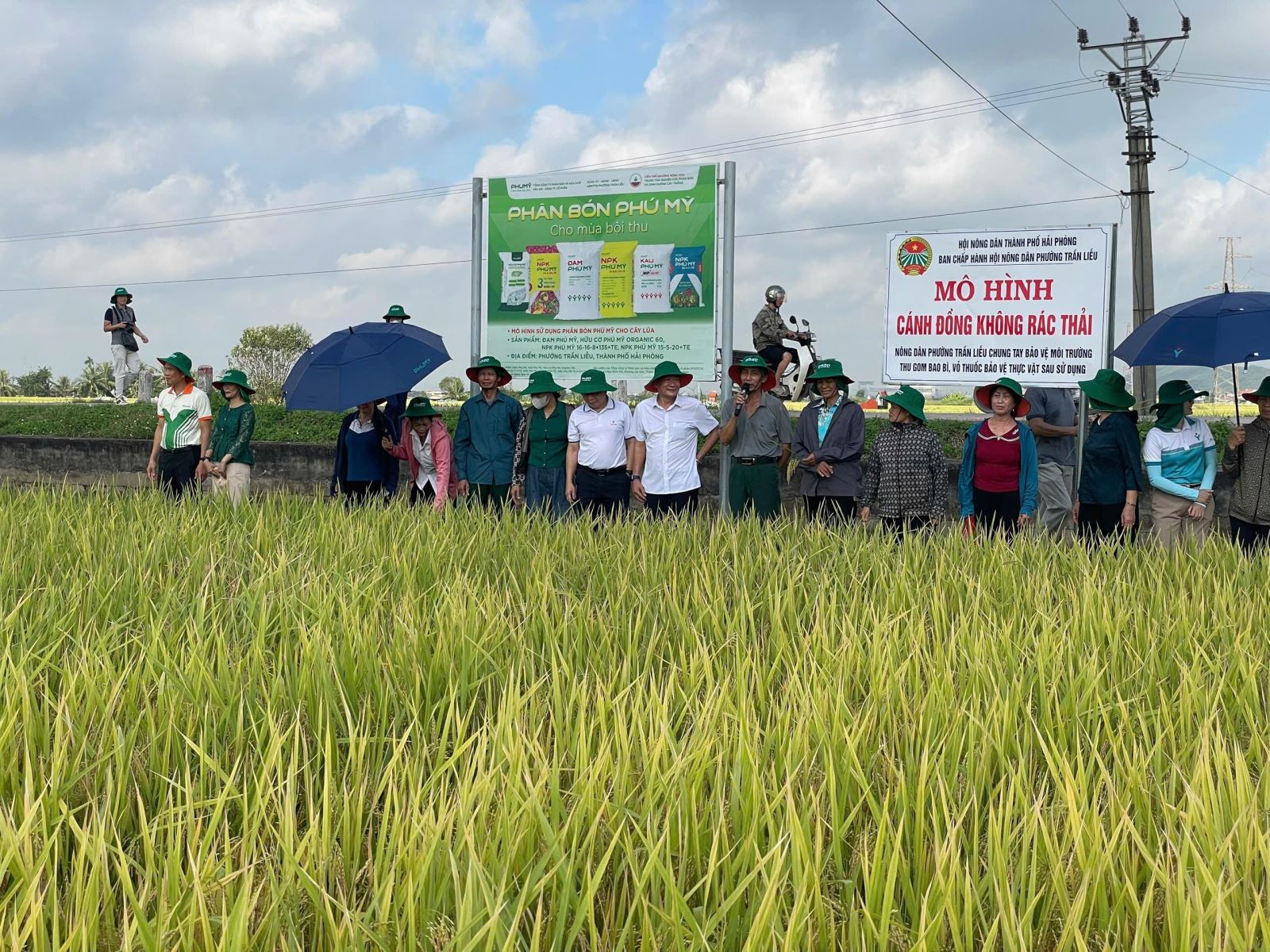 TCT Phân bón và Hóa chất Dầu khí (PVFCCo) và Công ty Cổ phần Phân bón và Hóa chất Dầu khí miền Bắc (PVFCCo - PMB) tổ chức thành công Hội thảo tổng kết mô hình trình diễn sử dụng phân bón Phú Mỹ cho cây lúa tại phường Trần Liễu, thành phố Hải Phòng.
