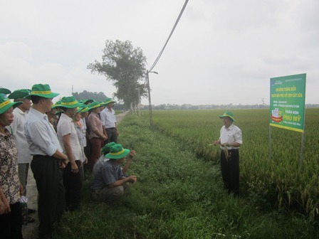 Hội thảo Tổng kết Mô hình trình diễn sử dụng phân bón Phú Mỹ trên cây lúa vụ Hè thu 2015 tại Hà Nội
